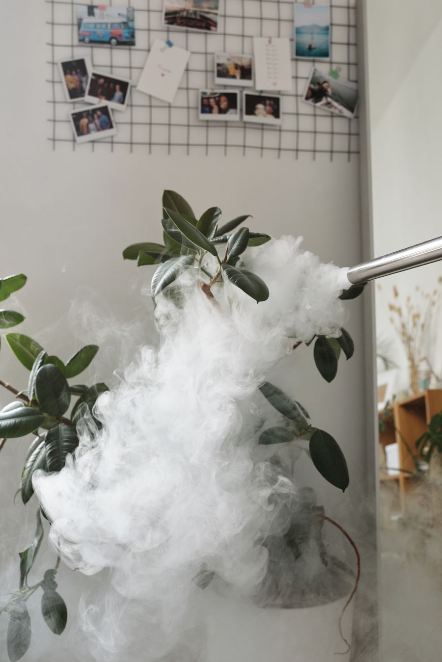 nicotine salt juice