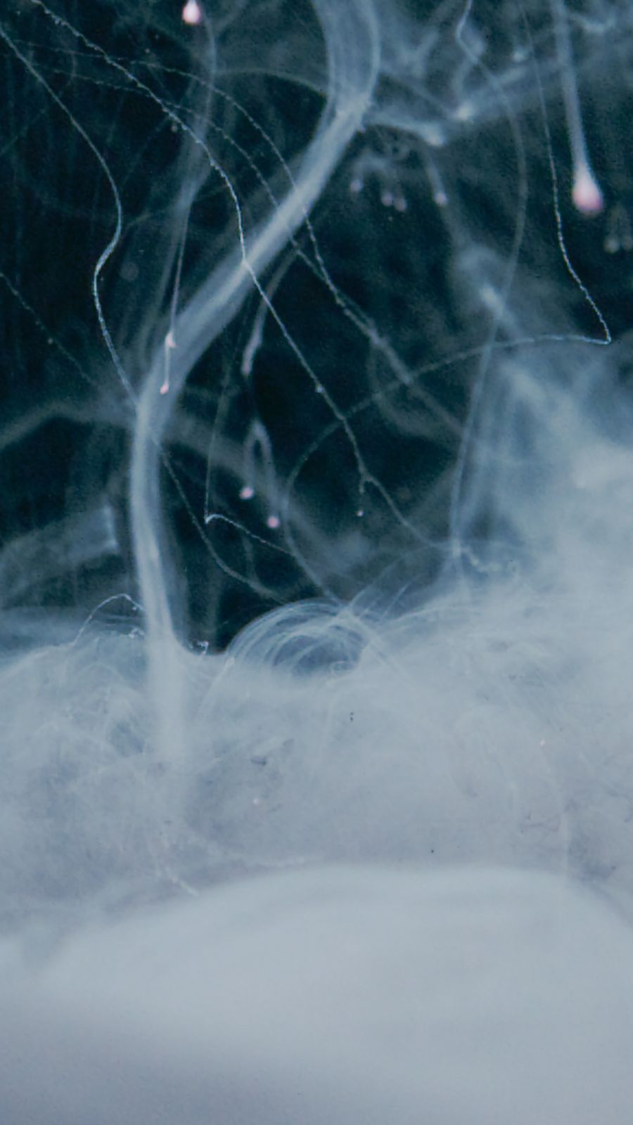 e-liquid