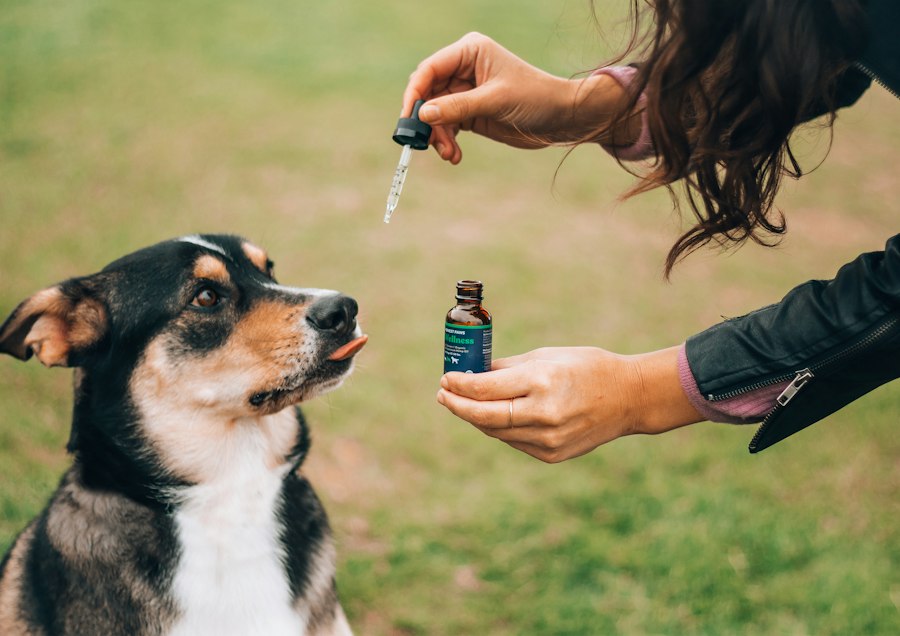 freebase e-liquid