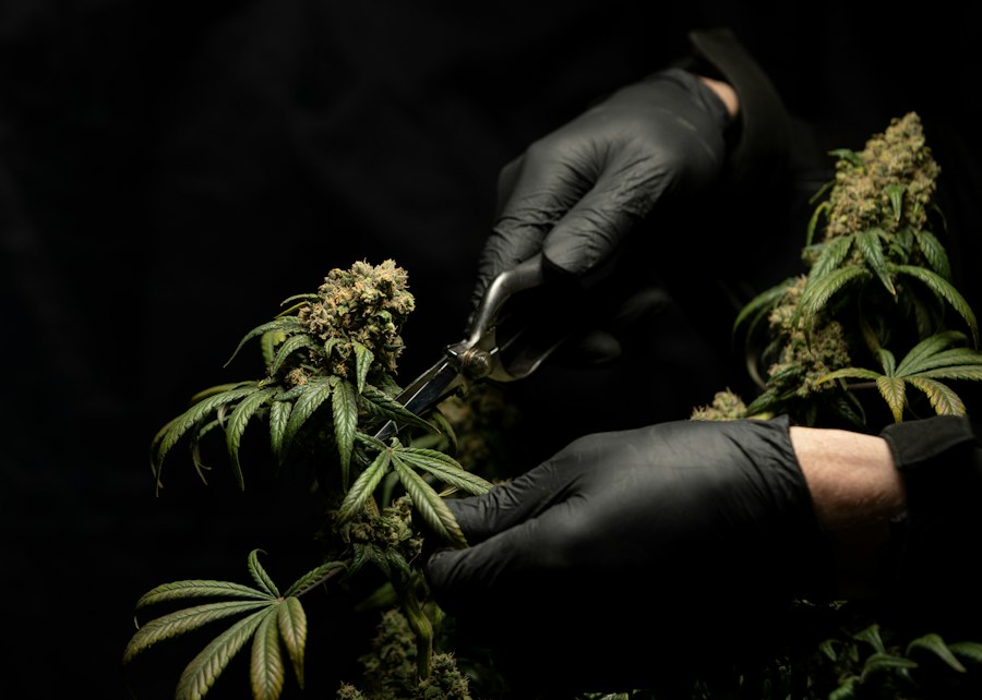 e-liquid